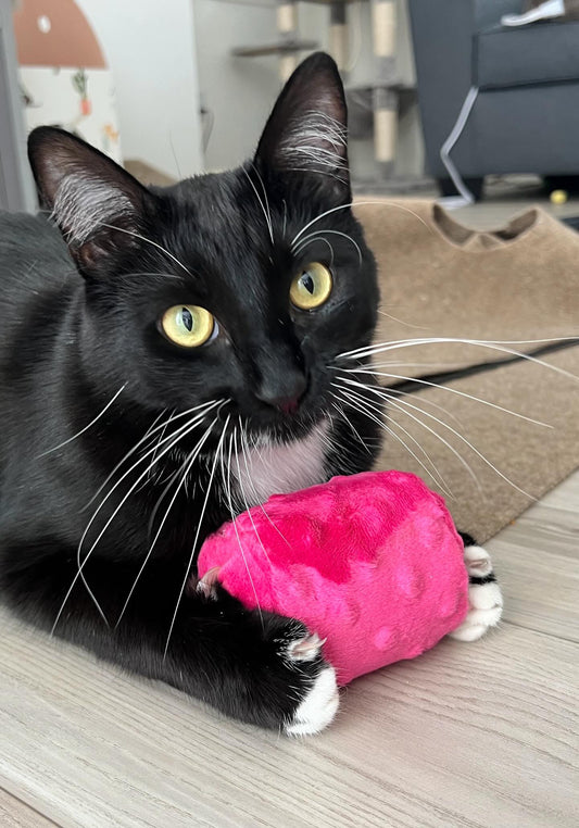 Crunch & Carry 100 Proof Silvervine & Catnip Cylinders