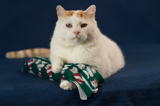 Holiday GUS in Vests Catnip & Silvervine Kicker Pillow - Green