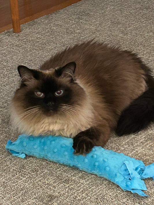 Fringe Frenzy XL 100 Proof Silvervine & Catnip Kicker - Assorted Solid Colors