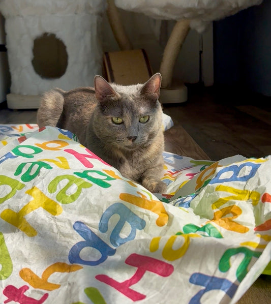 MeowDays 100 Proof Silvervine & Organic Catnip Infused Happy Birthday Crinkle Sheets