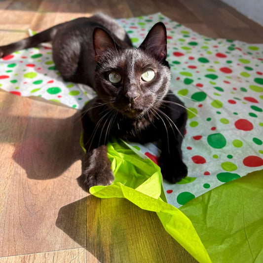 Holiday Silvervine & Catnip Infused Crinkle Sheets