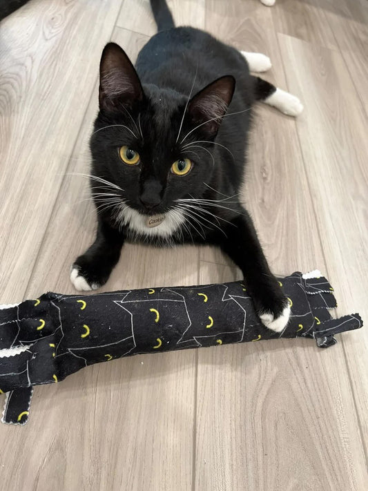 Fringe Frenzy XL 100 Proof Silvervine & Catnip Kicker - Assorted Prints