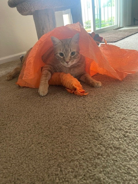 100 Proof Silvervine & Organic Catnip Infused Crinkle Sheets