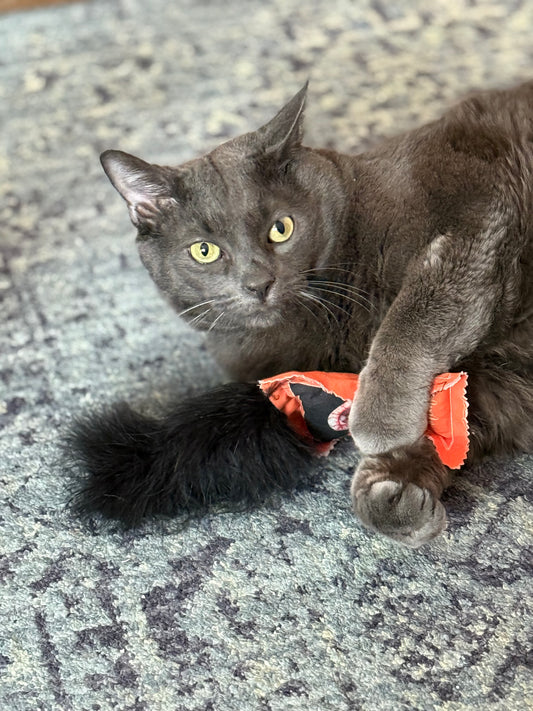 Crunch & Carry 100 Proof Silvervine & Catnip Meowtini with Feathers