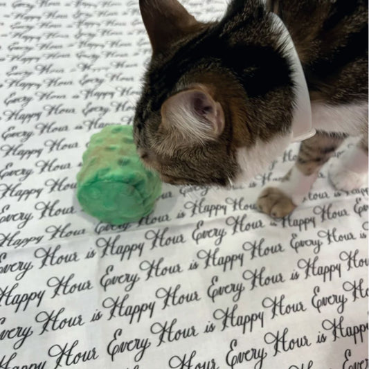 Holiday Silvervine & Catnip Crunch Cylinders