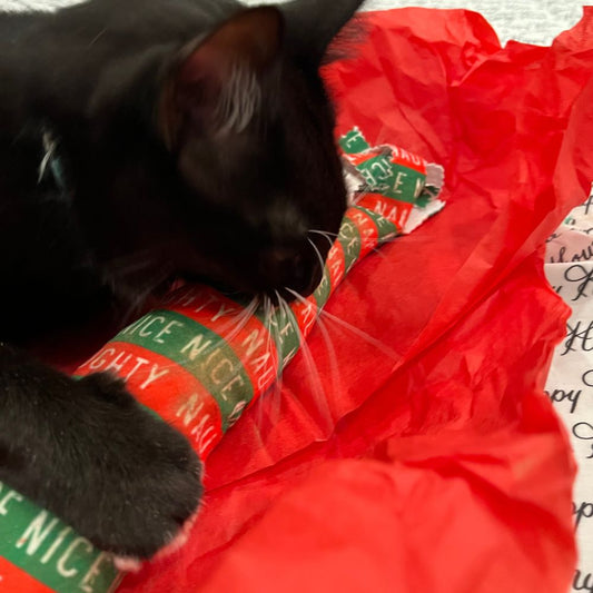 Holiday Silvervine & Catnip XL Kickers