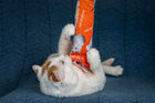 GUS 360 Degree Totally Me Catnip & Silvervine Kicker - Bright Orange