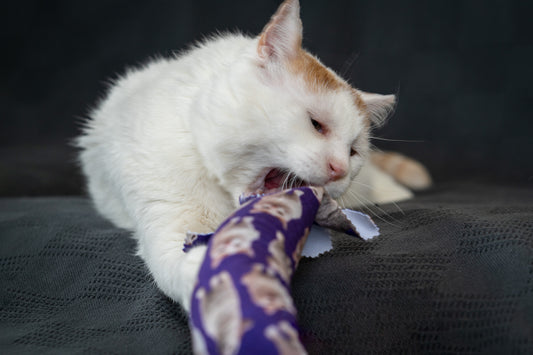 Gentle Unflappable and Sweet GUS Catnip & Silvervine Kicker Pillow - Dark Purple