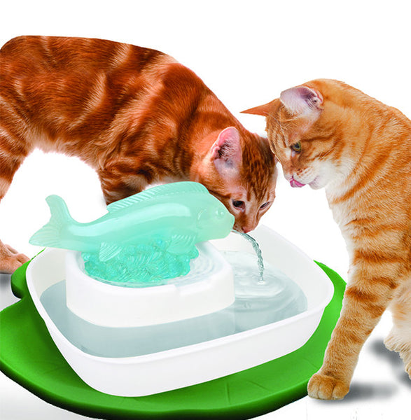 Cats rule water fountain top