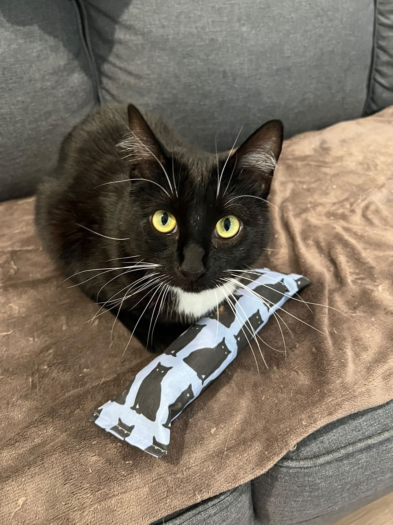 Crunch Crazy 100 Proof Silvervine & Catnip Kicker - Assorted Prints