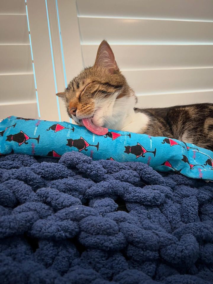 Fringe Frenzy XL 100 Proof Silvervine & Catnip Kicker - Assorted Prints