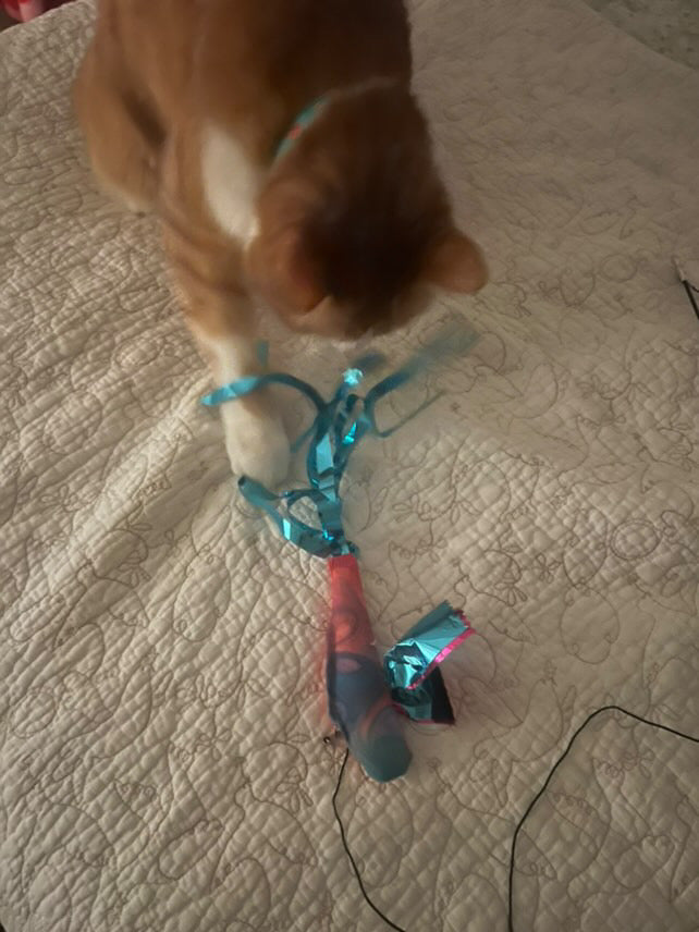 Crunch & Carry 100 Proof Silvervine & Catnip Dragonfly with Streamer Tail