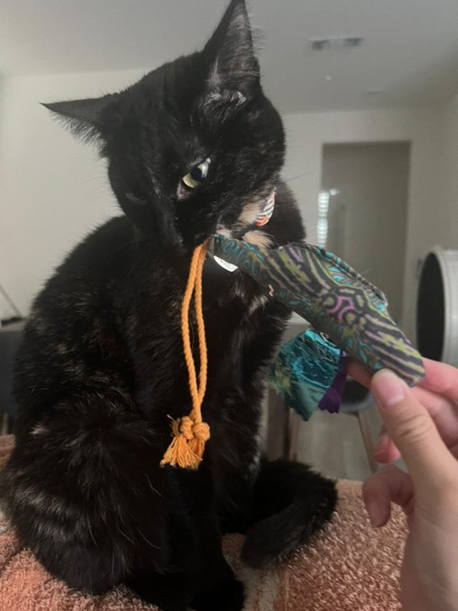 Crunch & Carry 100 Proof Silvervine & Catnip Dragonfly with String Tail