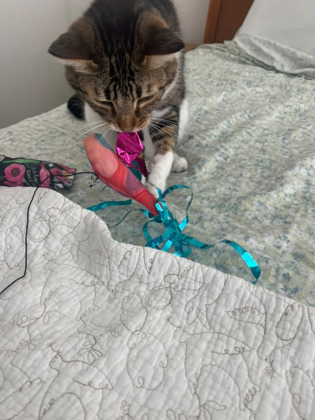 Crunch & Carry 100 Proof Silvervine & Catnip Dragonfly with Streamer Tail