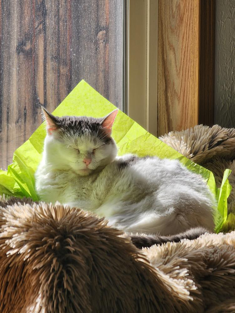 Silvervine & Organic Catnip Infused Crinkle Sheets