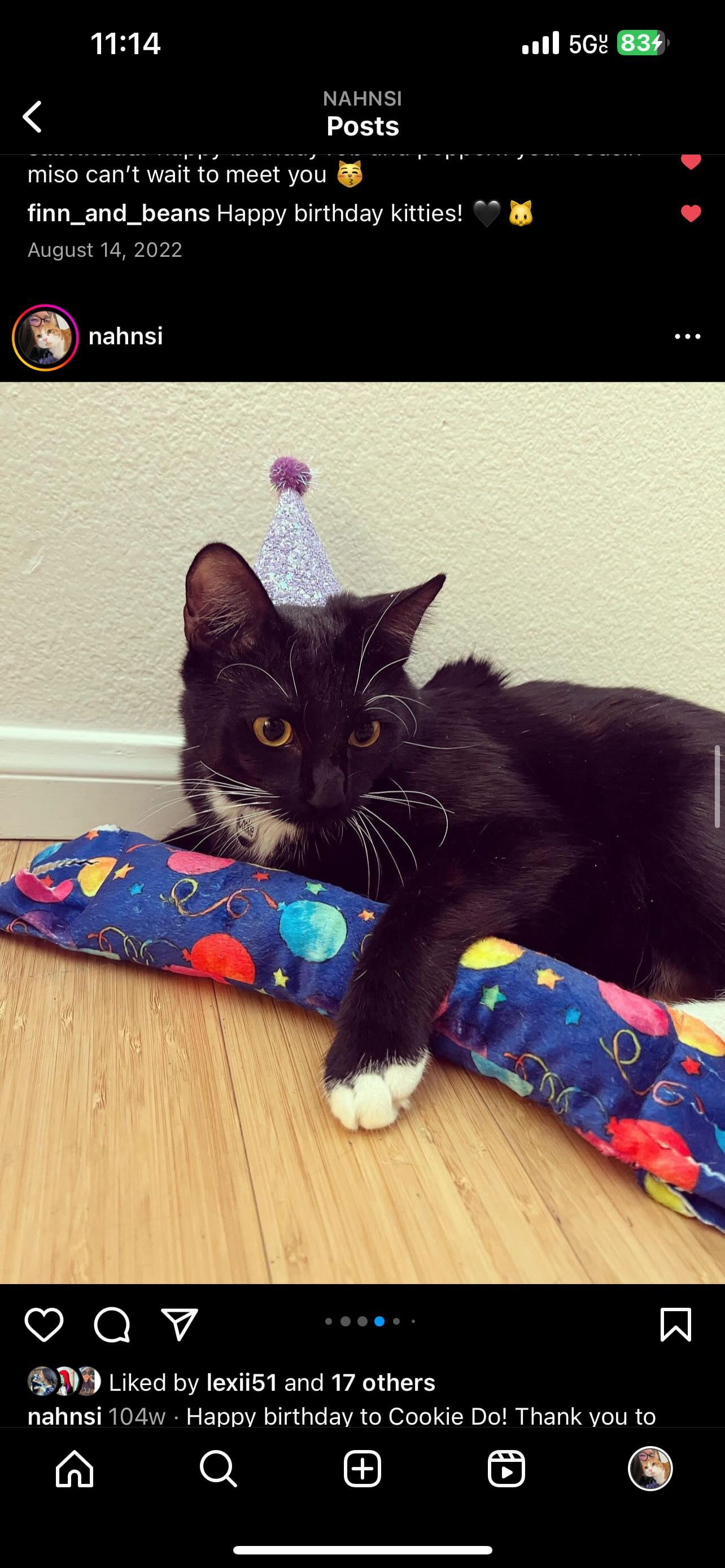 Birthday & Gotcha Day XL Kickers