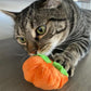 NEW! Meowloween Pumpkin Patch (Coming Soon)