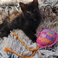 Crunch & Carry 100 Proof Silvervine & Catnip Gotcha Day Balloons with Strings