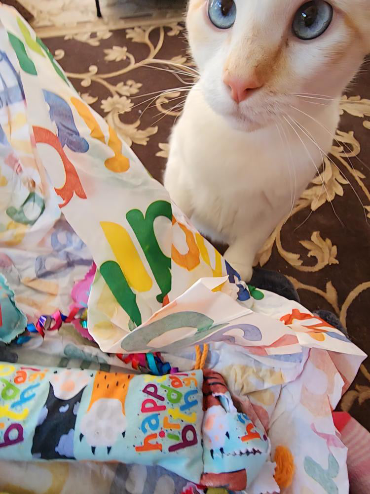 Birthday & Gotcha Day XL Kickers