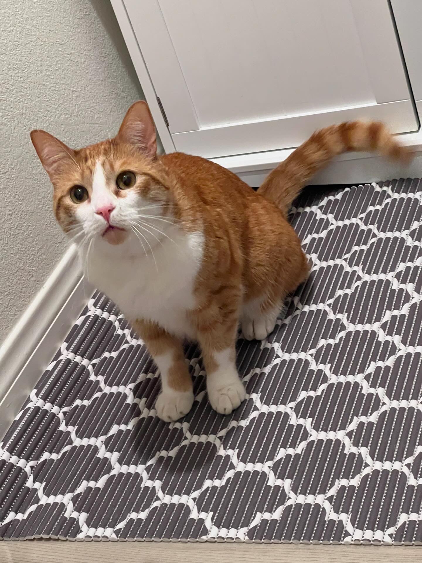 Original Ribbed Foam Oversized LItter Mat