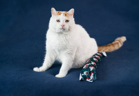 Holiday Plaid Sweet GUS Catnip & Silvervine Kicker Pillow - Plaid