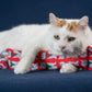 Holiday GUS in Vests Catnip & Silvervine Kicker Pillow - Red