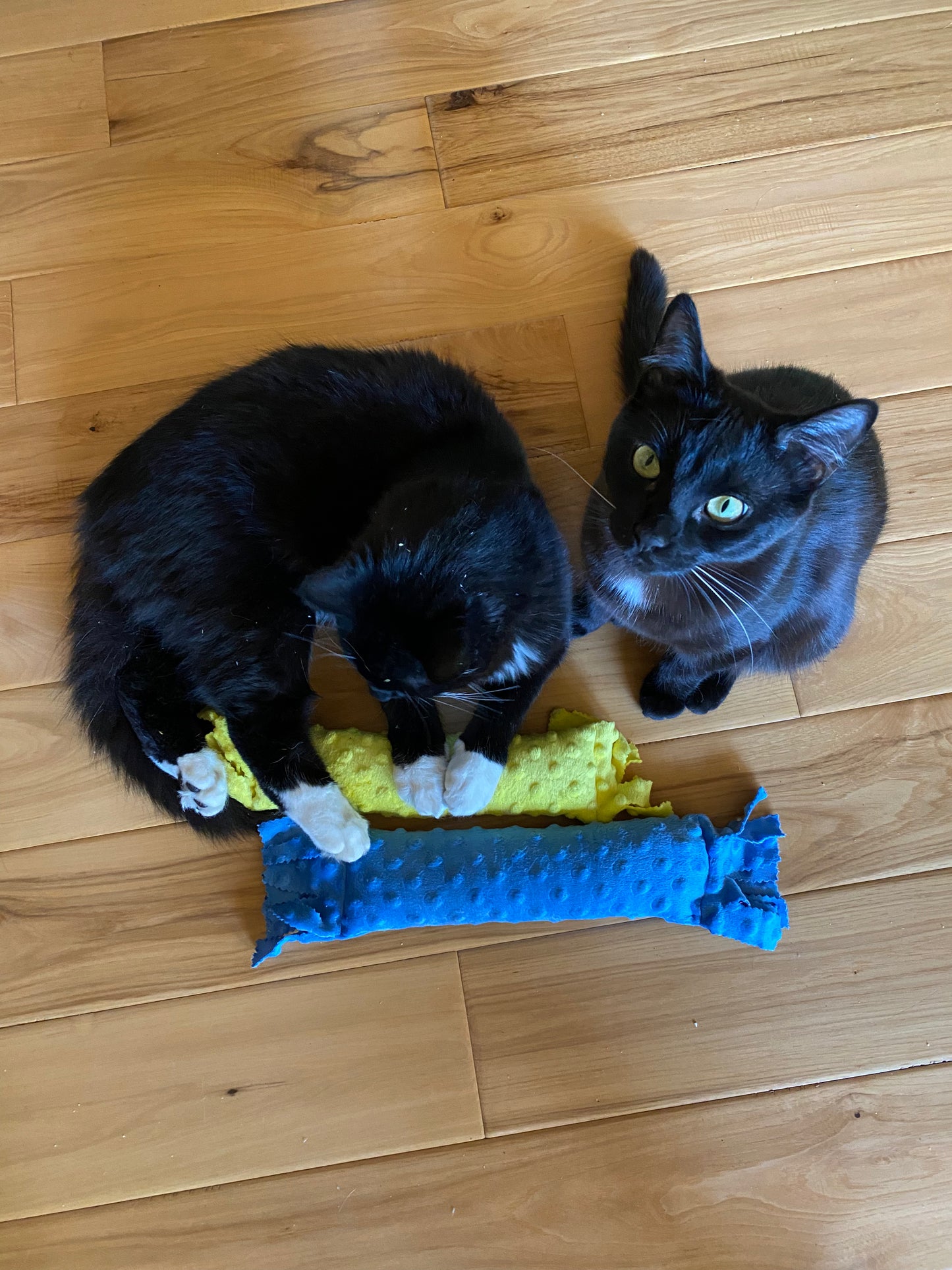 Fringe Frenzy XL 100 Proof Silvervine & Catnip Kicker - Assorted Solid Colors