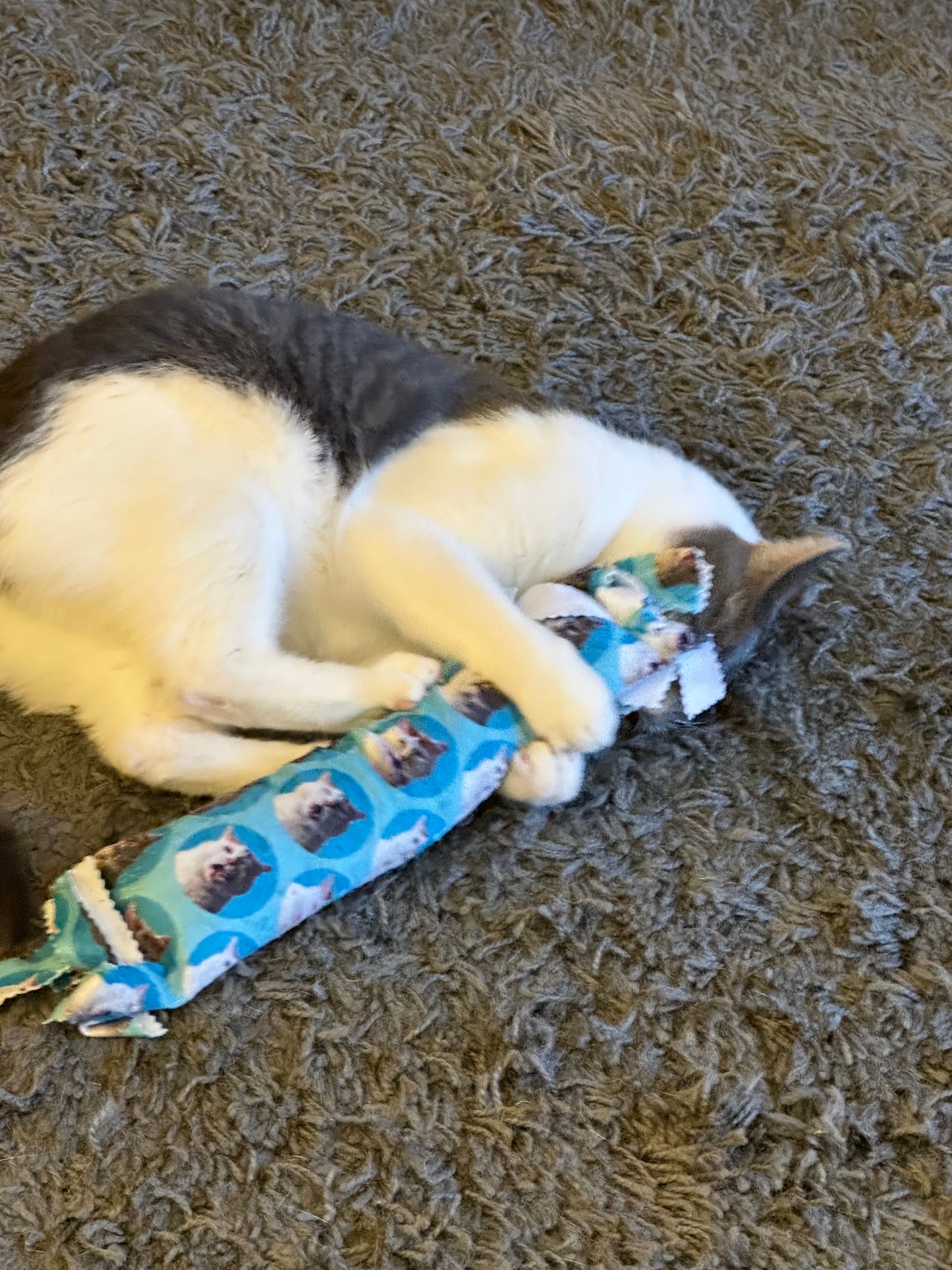 Fringe Frenzy XL 100 Proof Silvervine & Catnip Kicker - Assorted Prints