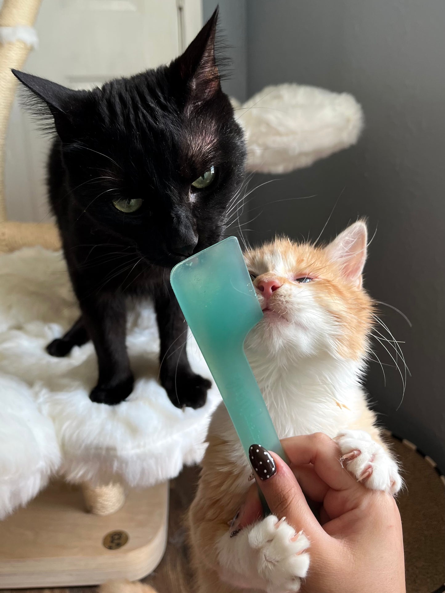 Mix & Serve Dual Ended Forks