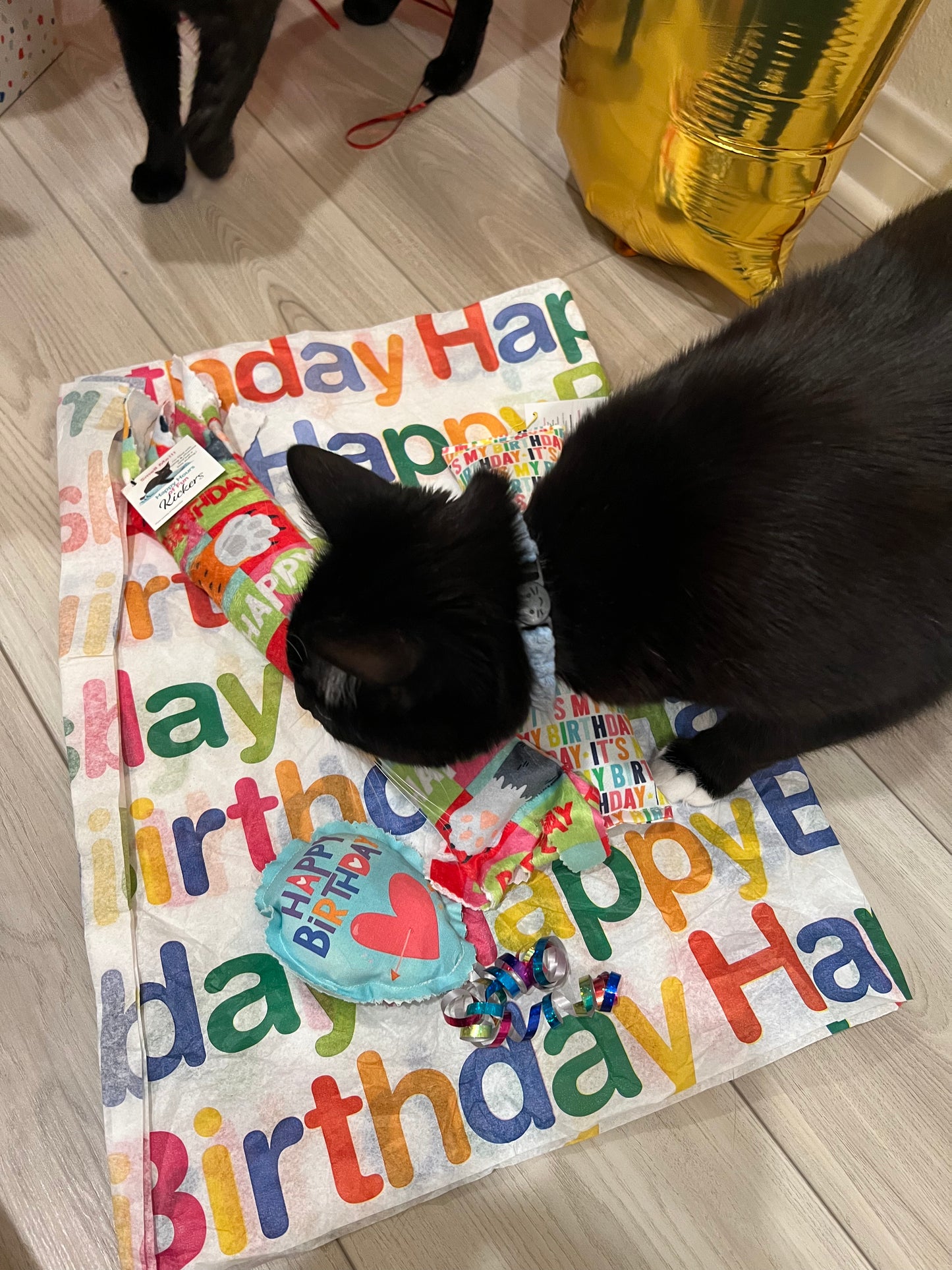 Crunch & Carry 100 Proof Silvervine & Catnip Birthday Balloons with Streamers