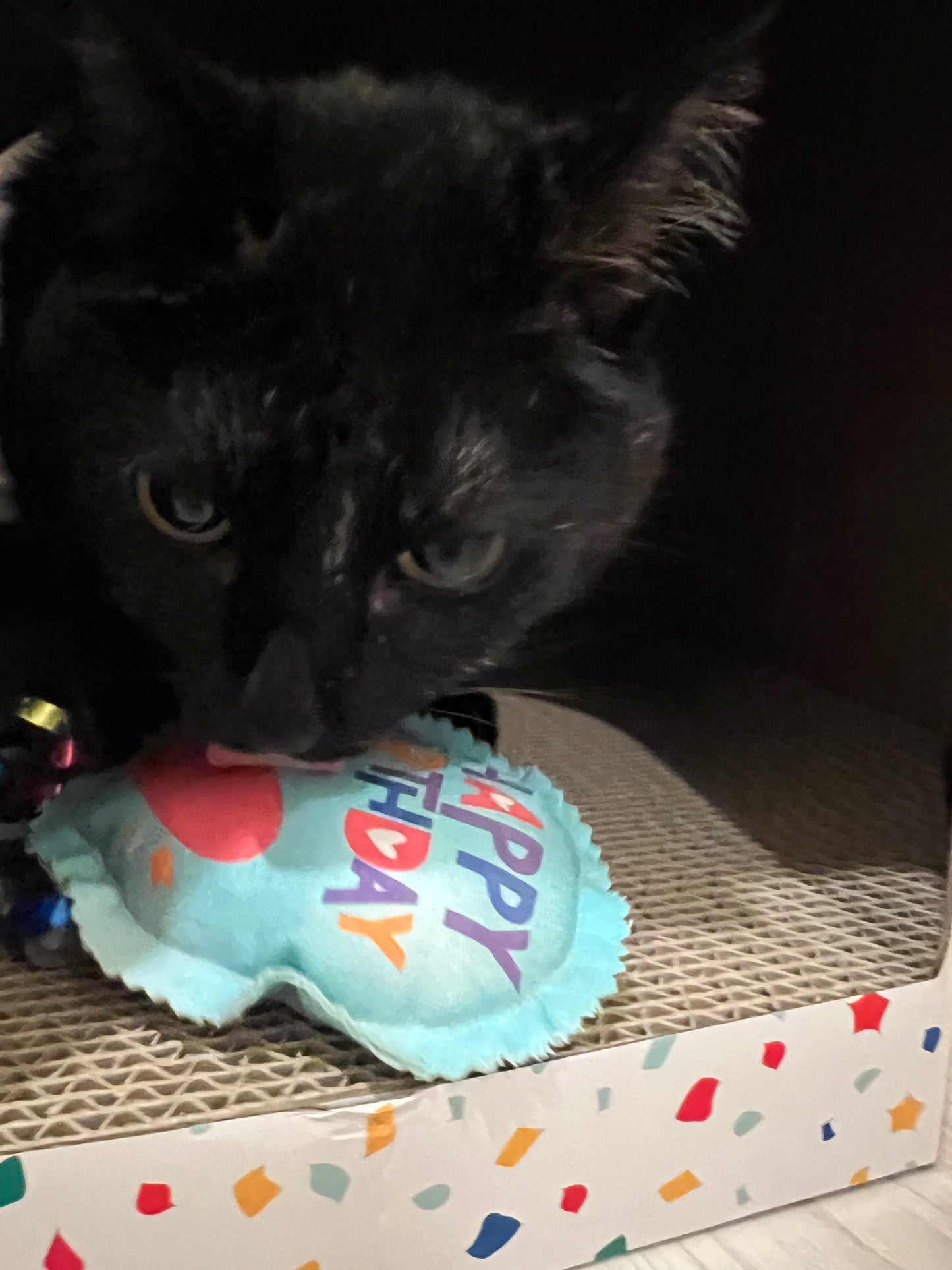 Crunch & Carry 100 Proof Silvervine & Catnip Happy Birthday Balloons with Strings