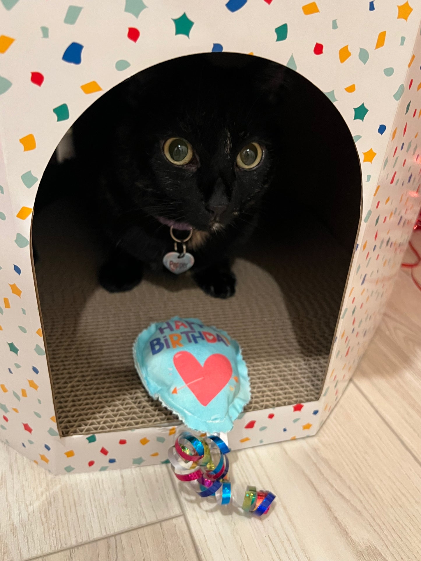 Crunch & Carry 100 Proof Silvervine & Catnip Birthday Balloons with Streamers