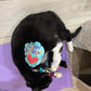 Crunch & Carry 100 Proof Silvervine & Catnip Birthday Balloons with Streamers