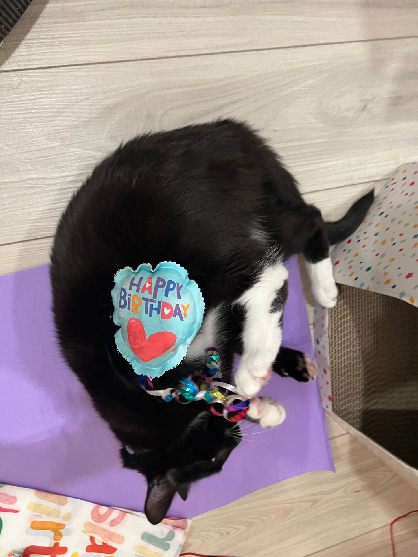 Crunch & Carry 100 Proof Silvervine & Catnip Birthday Balloons with Streamers