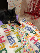 NEW! Happy Birthday! Organic Catnip & Silvervine Infused Paper Sheets (Happy Birthday/Blue