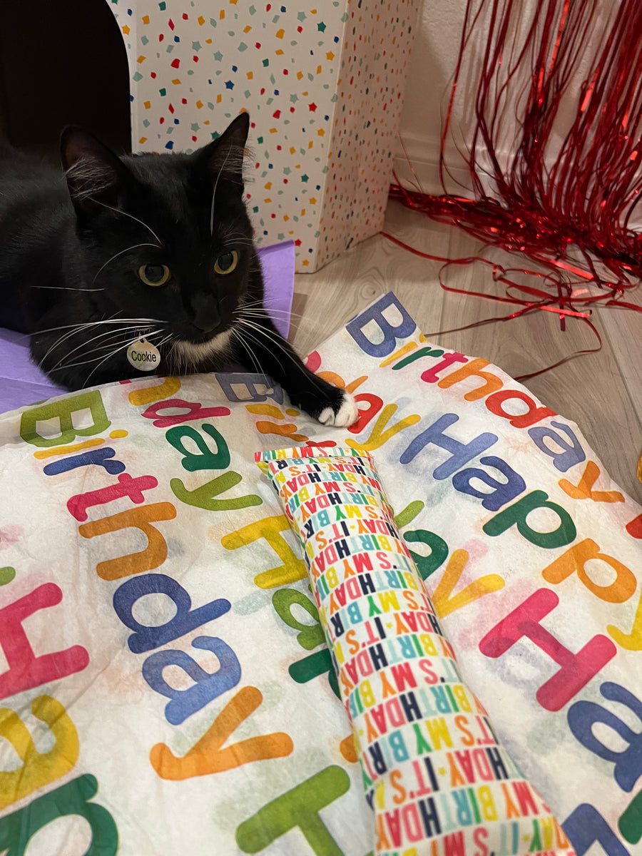 NEW! Happy Birthday! Organic Catnip & Silvervine Infused Paper Sheets (Happy Birthday/Blue