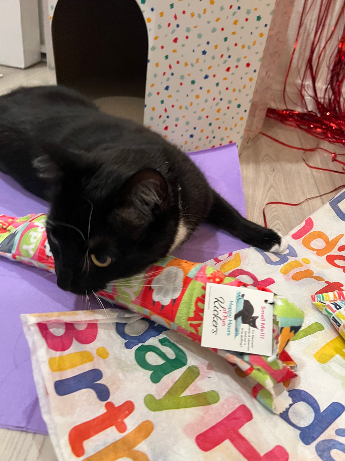 Birthday & Gotcha Day XL Kickers