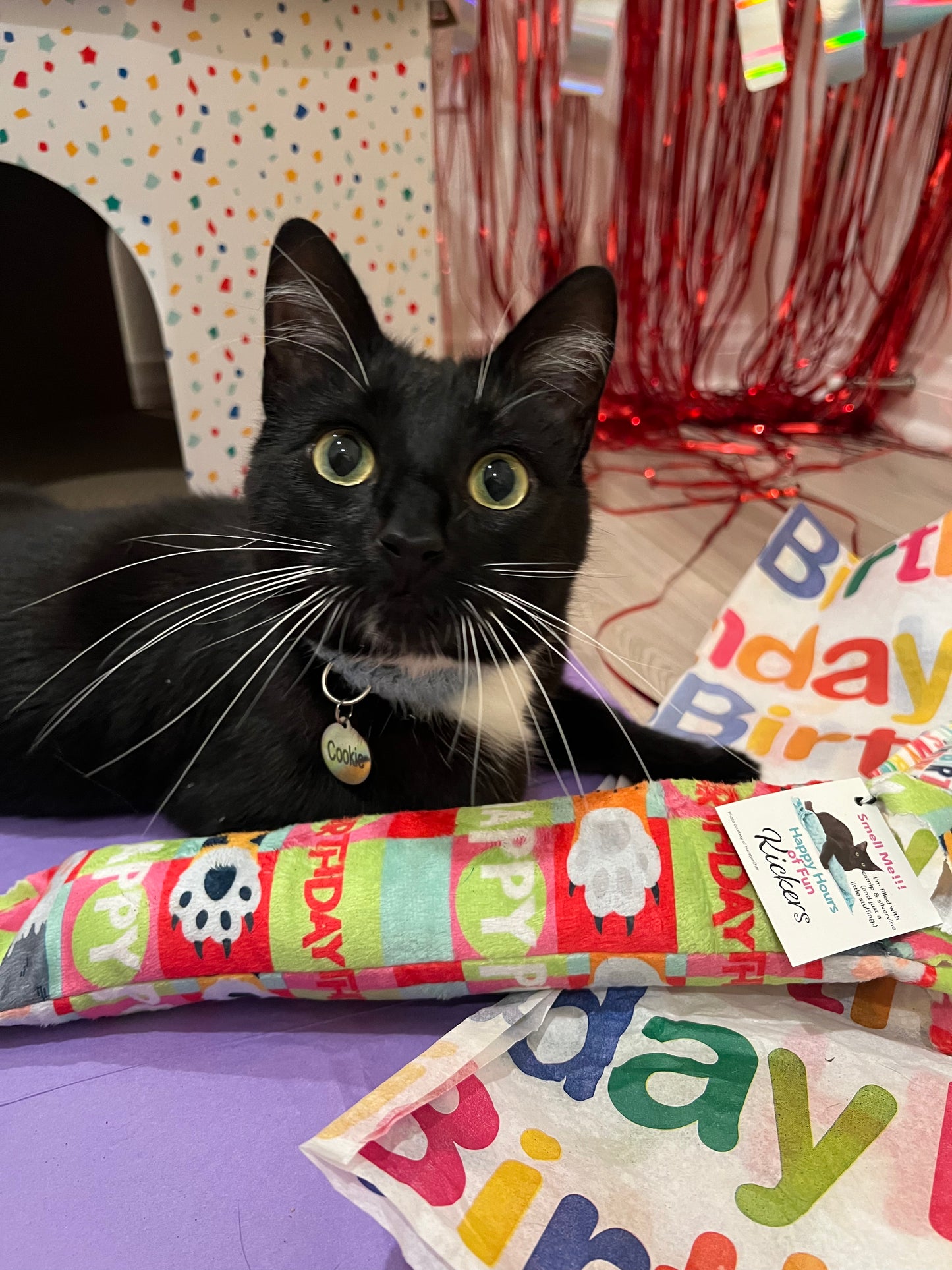 Birthday & Gotcha Day XL Kickers