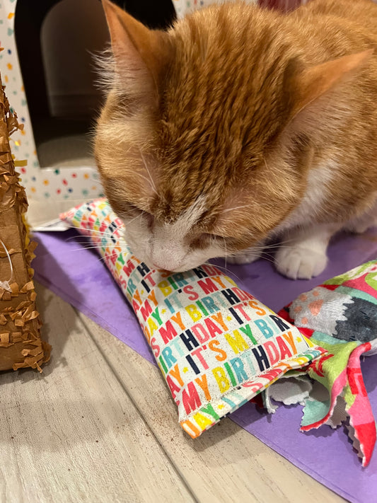 Crunch Crazy Birthday & Gotcha Day Kickers