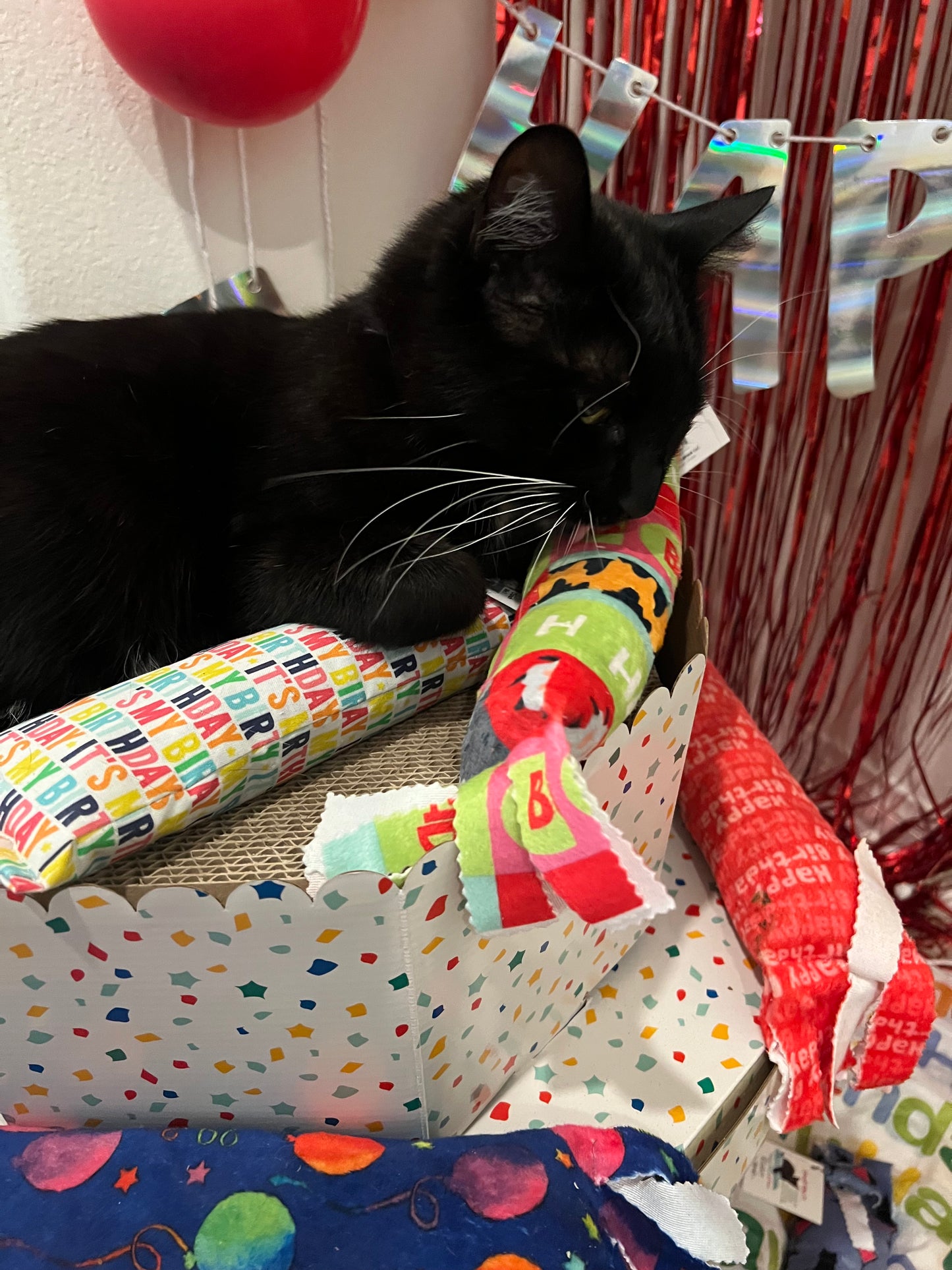 Fringe Frenzy XL 100 Proof Silvervine & Catnip Kicker - Assorted Prints