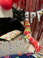 Yay It's My Birthday! 100 Proof Silvervine & Catnip XL Kicker