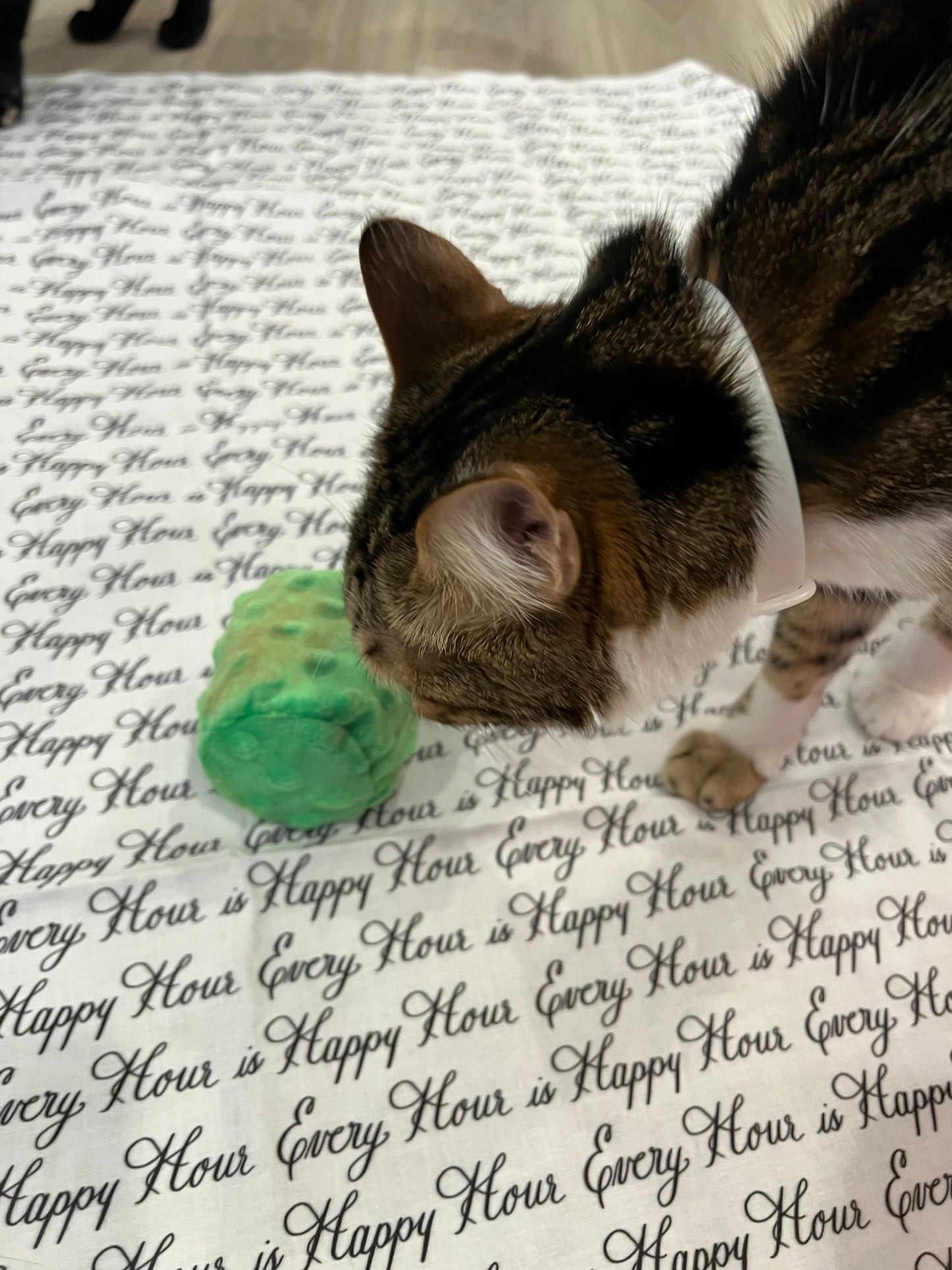 Crunch & Carry 100 Proof Silvervine & Catnip Cylinders