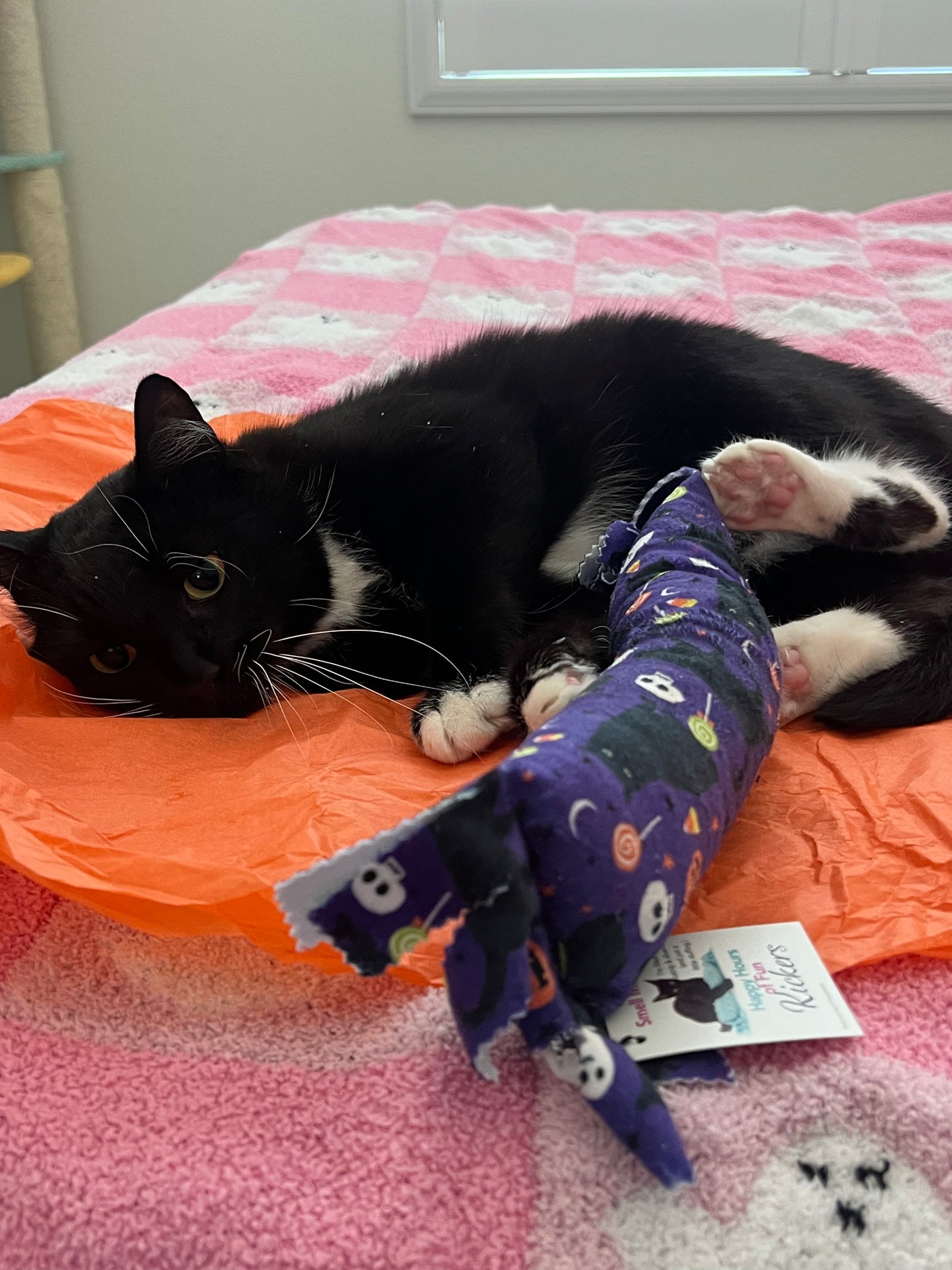 Fringe Frenzy XL 100 Proof Silvervine & Catnip Kicker - Assorted Prints