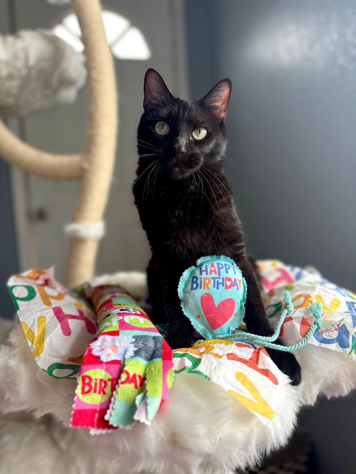 Crunch & Carry 100 Proof Silvervine & Catnip Happy Birthday Balloons with Strings