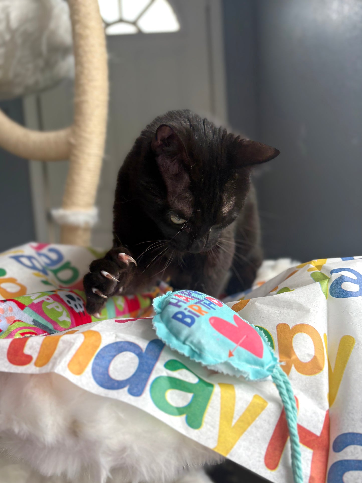 MeowDays 100 Proof Silvervine & Organic Catnip Infused Happy Birthday Crinkle Sheets