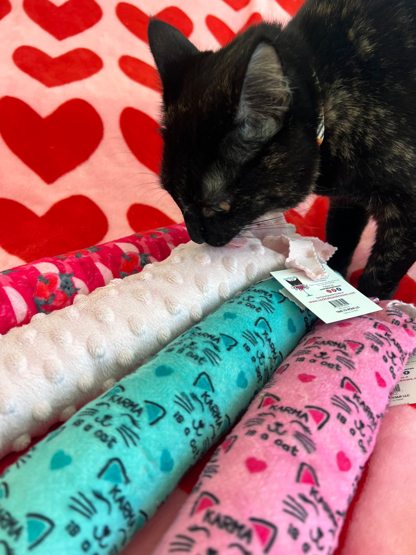 Fringe Frenzy XL 100 Proof Silvervine & Catnip Kicker - Assorted Prints