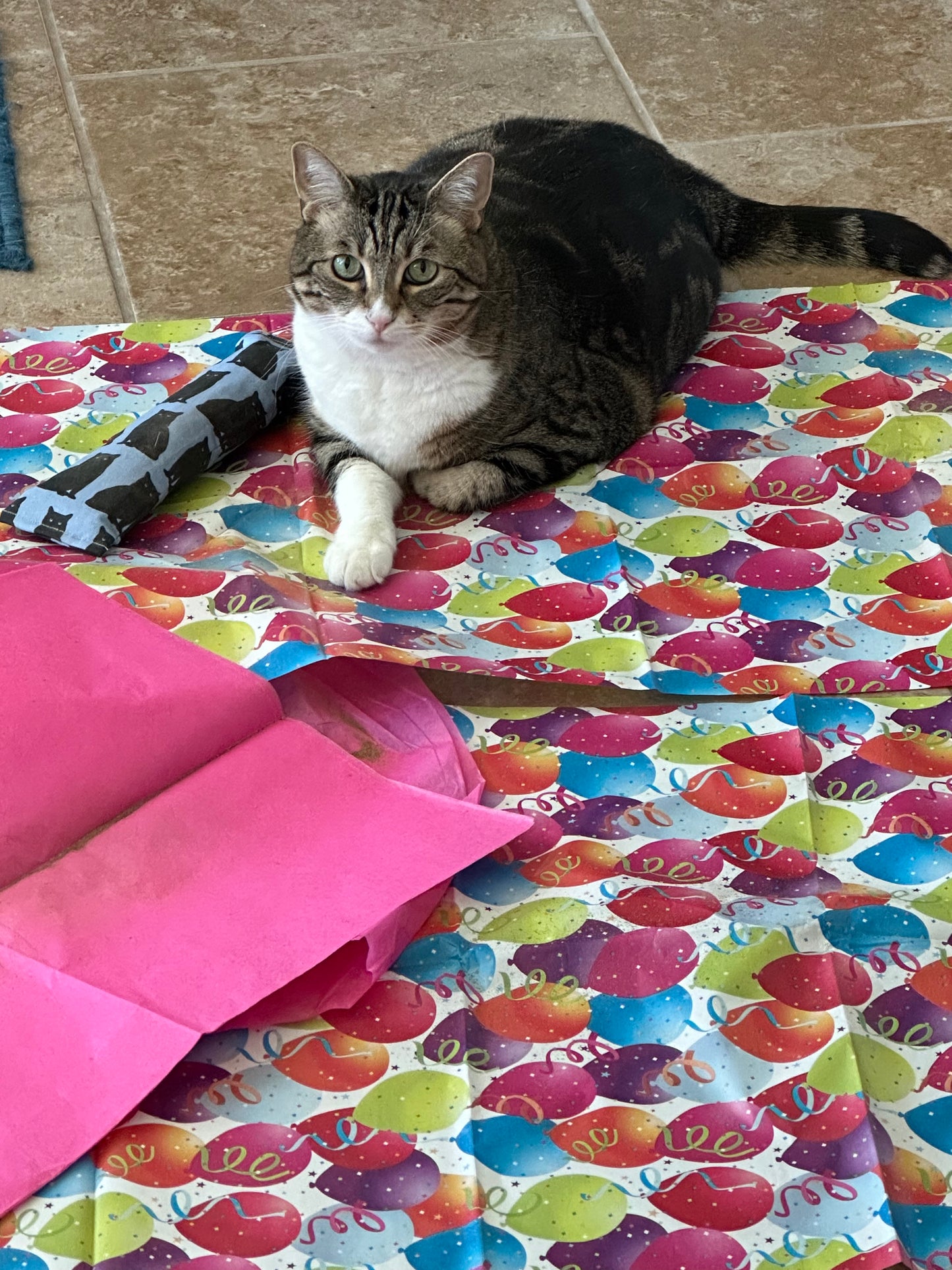 Silvervine & Organic Catnip Infused Crinkle Sheets