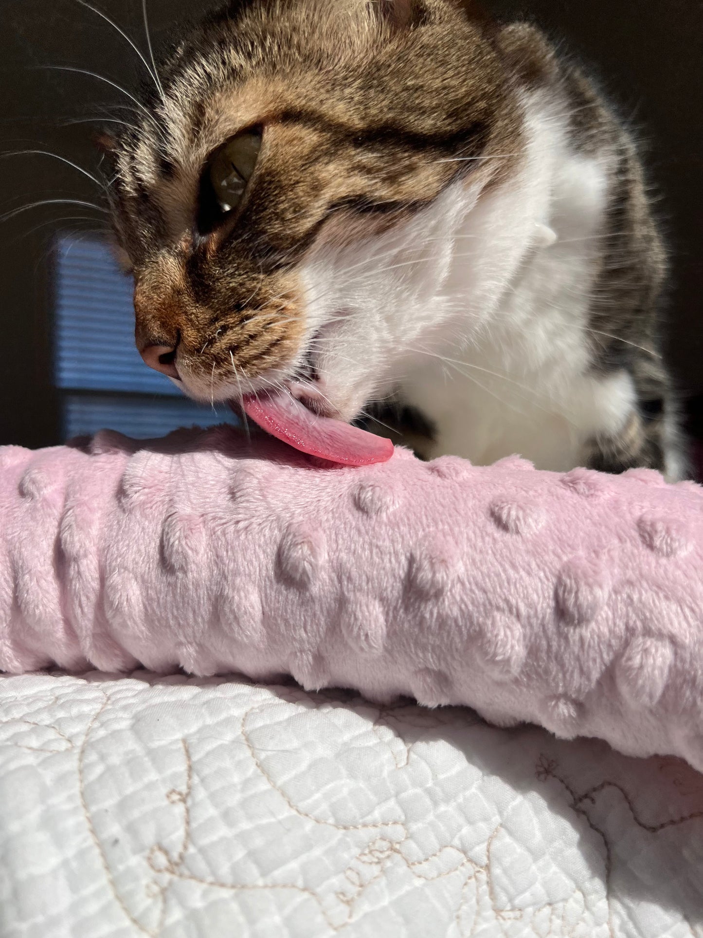 Fringe Frenzy XL 100 Proof Silvervine & Catnip Kicker - Assorted Solid Colors