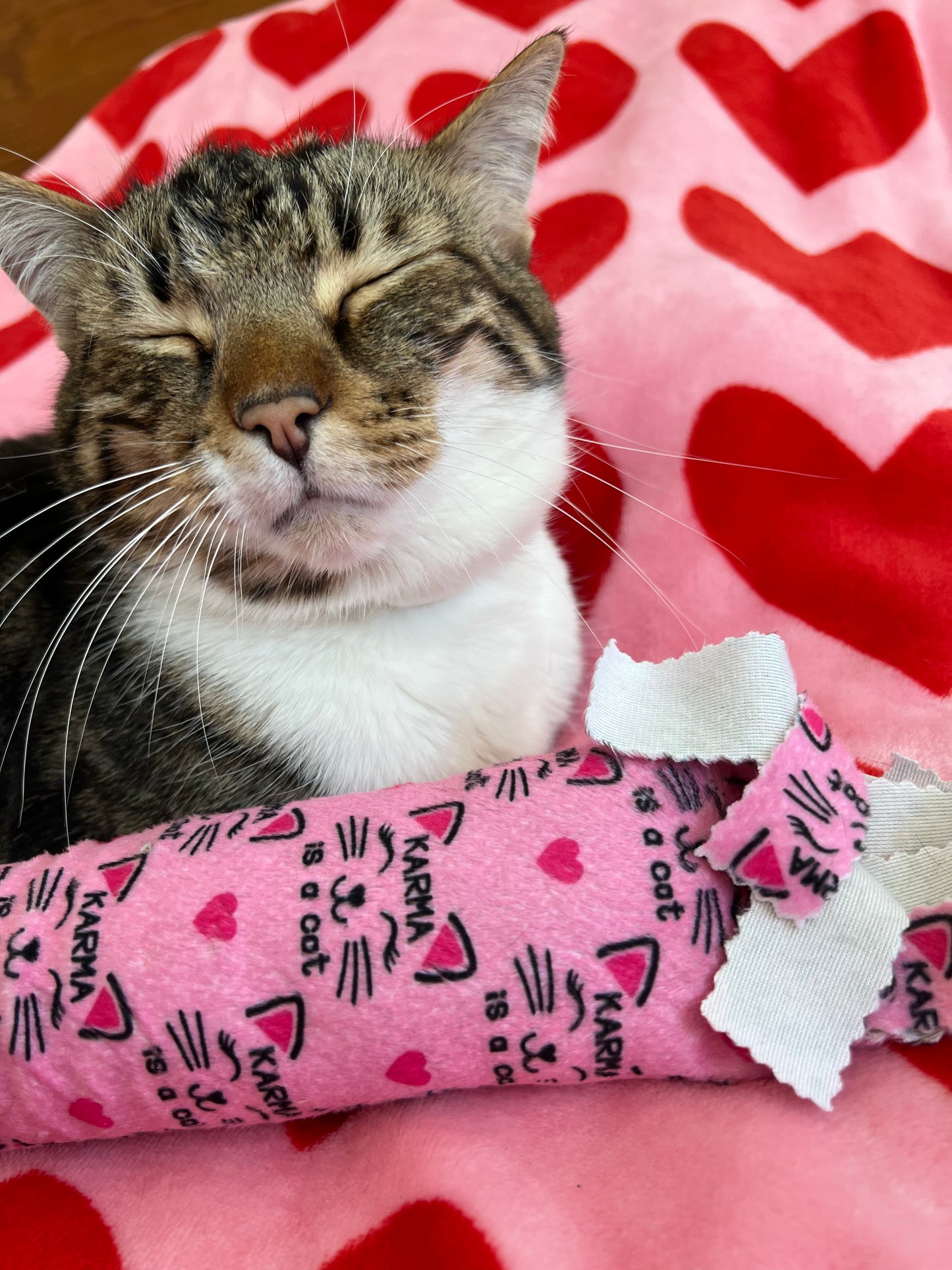 Fringe Frenzy XL 100 Proof Silvervine & Catnip Kicker - Assorted Prints