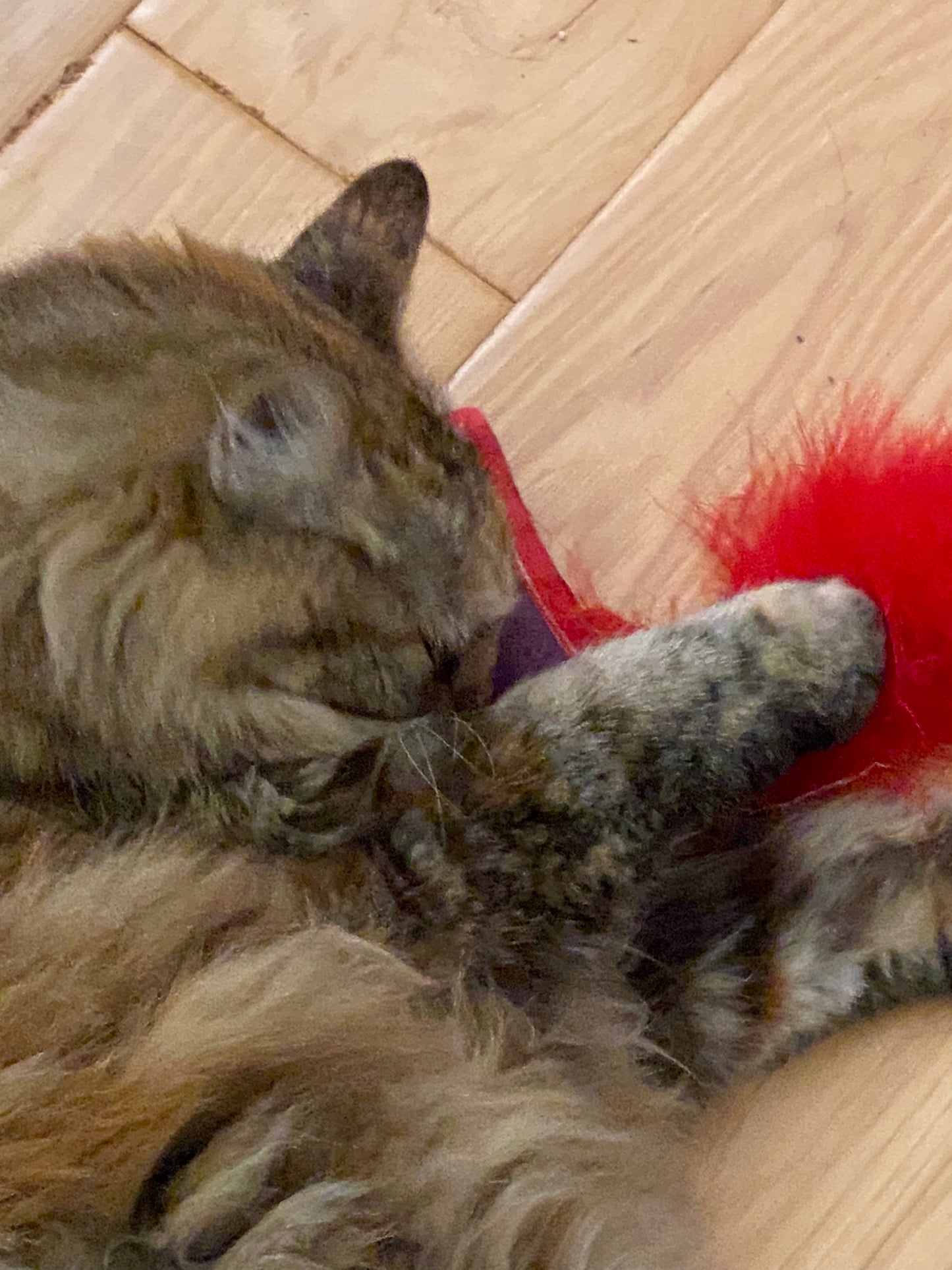 Crunch & Carry 100 Proof Silvervine & Catnip Meowtini with Feathers